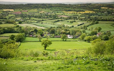 Devon Hedge Award Launch
