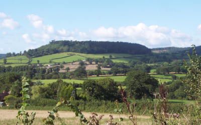 Treescapes Officer Job Opportunity