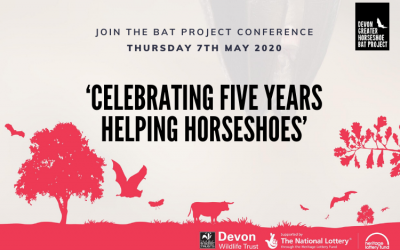 Five years of helping Horseshoes