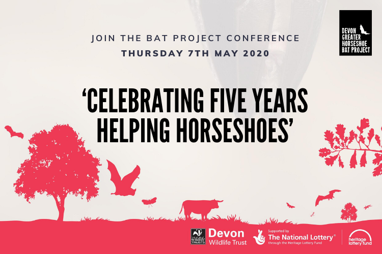 Five years of helping Horseshoes