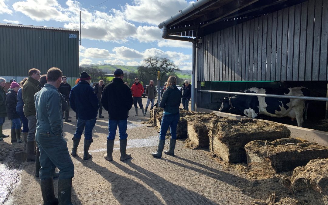 Capturing carbon on East Devon farms