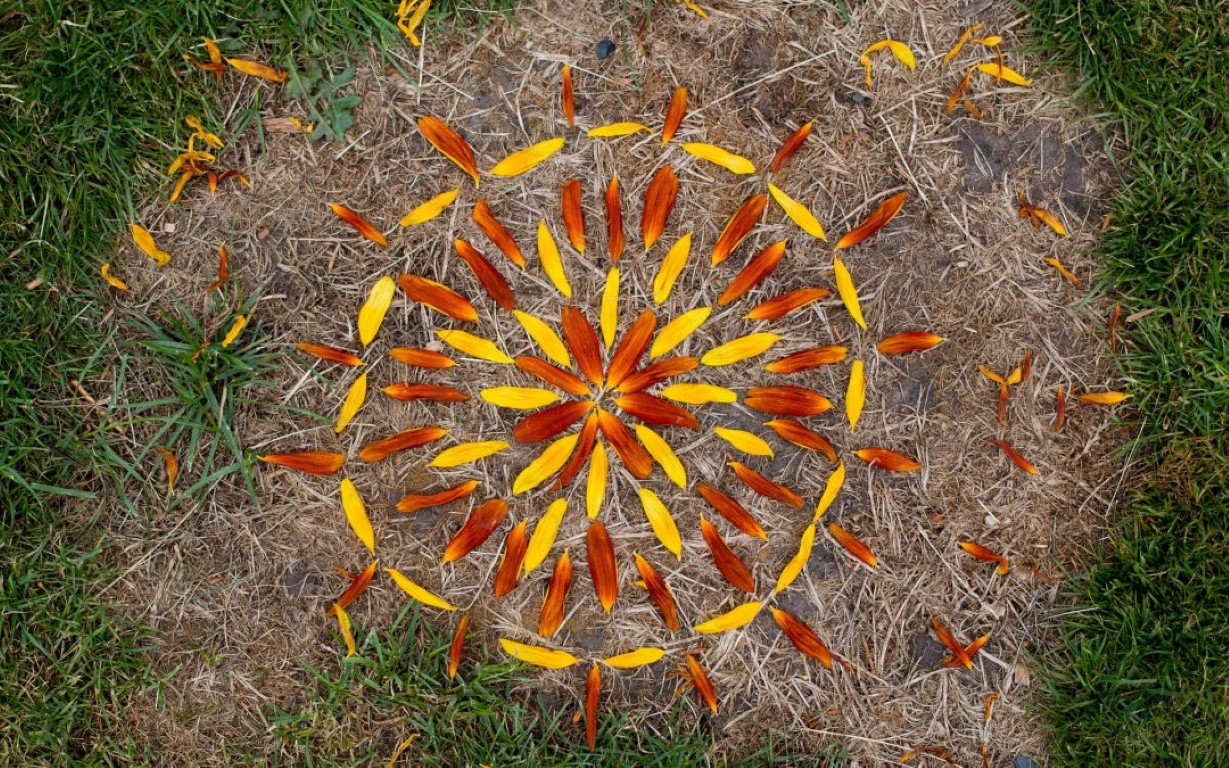 Connecting with nature during isolation