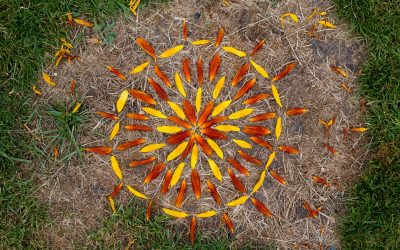 Connecting with nature during isolation