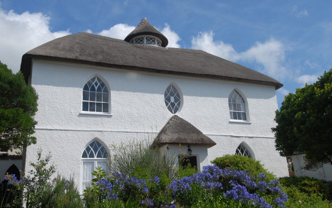 National Landscape Support for new Lower Otter Restoration Project exhibition at Fairlynch Museum