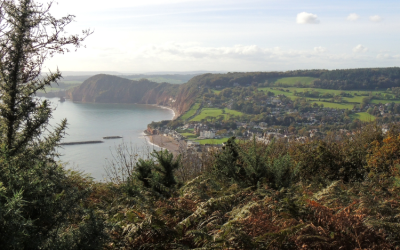 Sustainable Sidmouth Champions Awards 2023