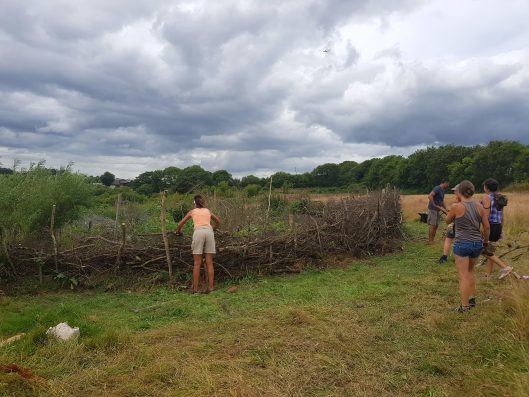 STONEY ORCHARD 529x397