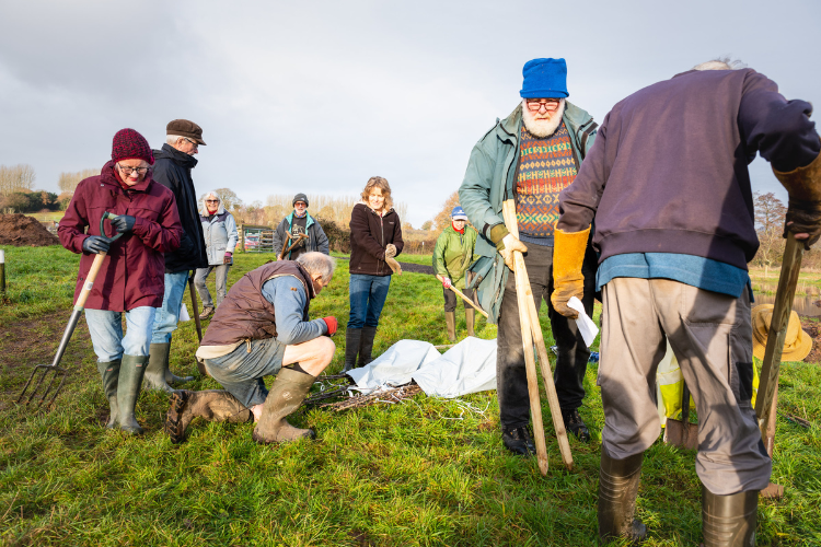 volunteers, people clearing plant matter, undercliffs