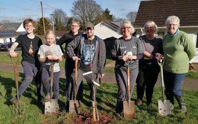 Wild About Devon – Community Grants