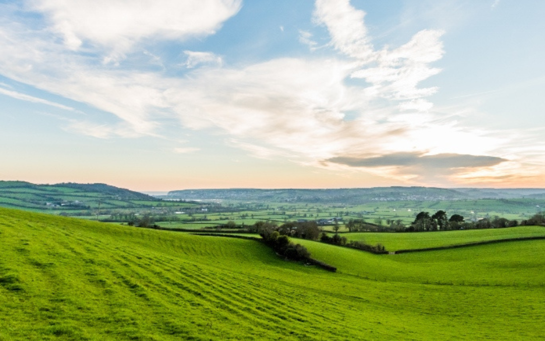 Updated State of Nature Report Now Available