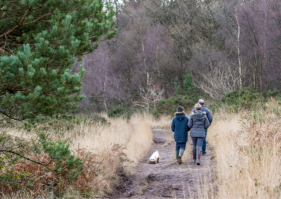 Three people walking dog on heathland