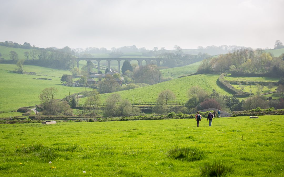 New opportunity: Videographer Opportunity