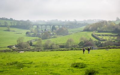 New opportunity: Videographer Opportunity