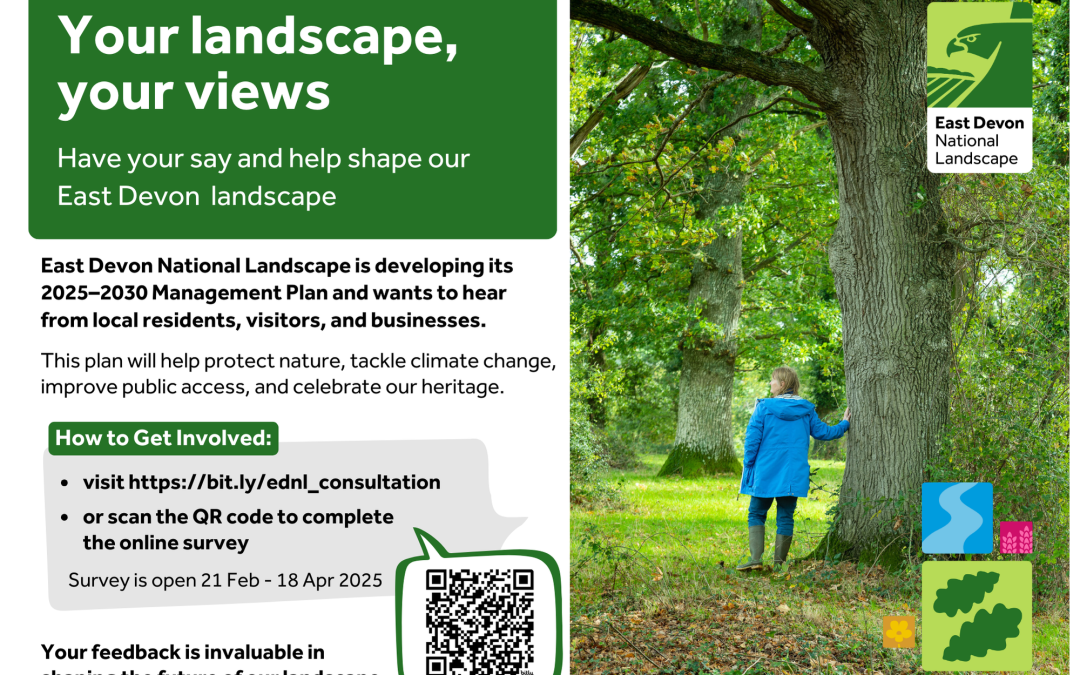 Have Your Say on the Future of East Devon’s Landscape