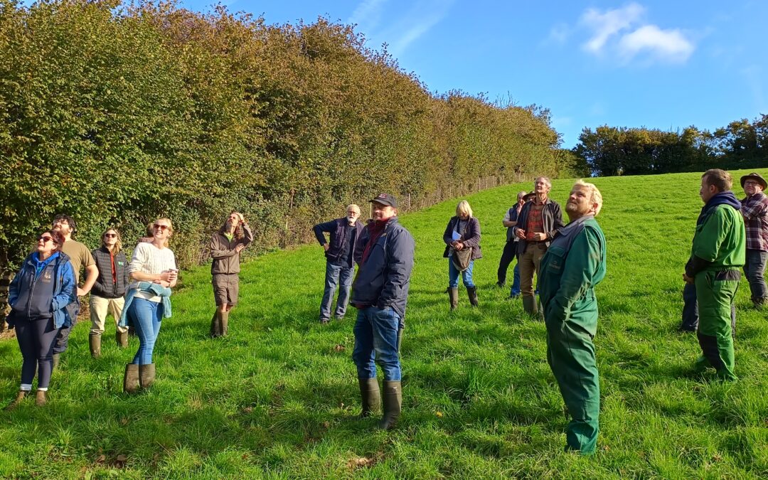 East Devon Farmers Group: Growing Skills, Community and Conservation