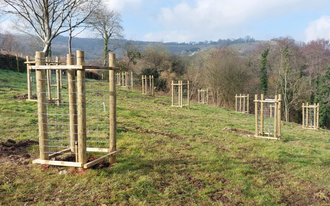 East Devon Farmers Invited to Apply for Funding to Support Nature