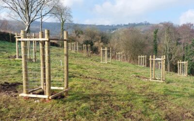 East Devon Farmers Invited to Apply for Funding to Support Nature