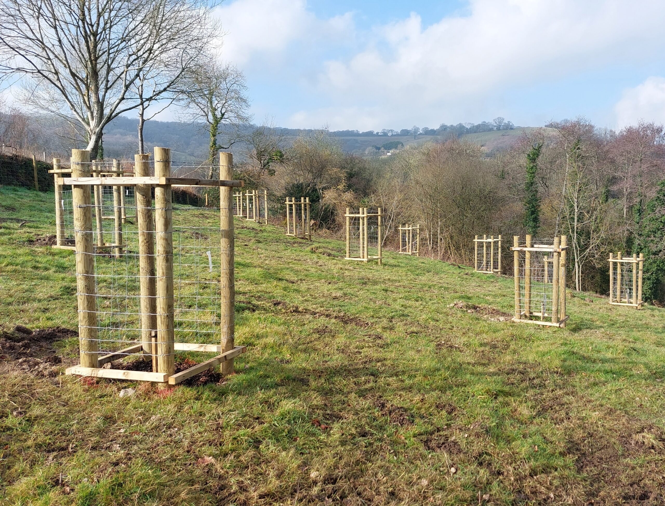 Orchard trees planted at Idehill Farm using FiPL funding.